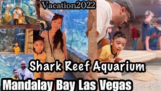 Exploring The Shark Reef Aquarium At Mandalay Bay In Las Vegas Shopping At The Mall Fambam