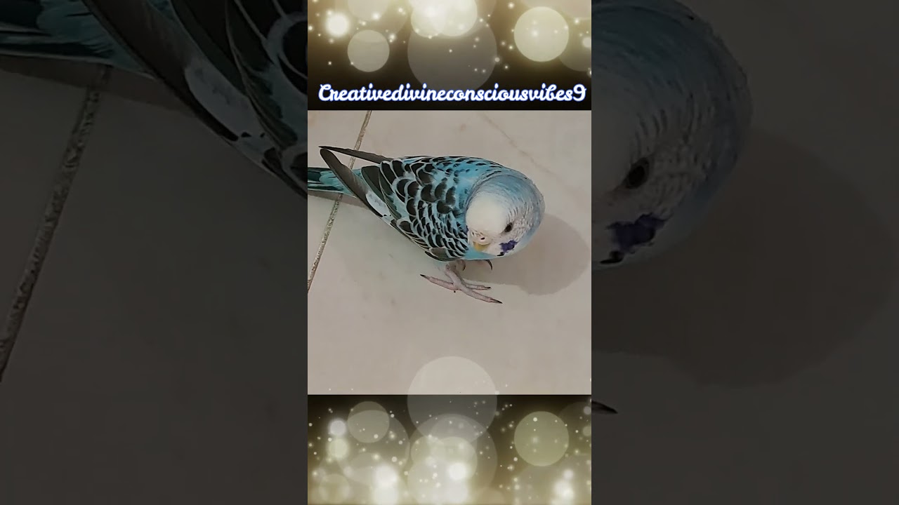 Bonding with Lemon and Mint 