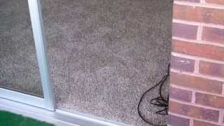 515 Clarkson -- 1X1 -- #905 --- 680 sq  ft -- Renovated