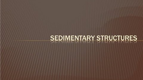 Sedimentary Structures