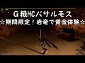 【MHF G】　ソロ　見た目装備のガチ動画　第１６弾　G級HCバサルモス　☆期間限定！岩竜で黄金体験☆　火事場双剣にて♪