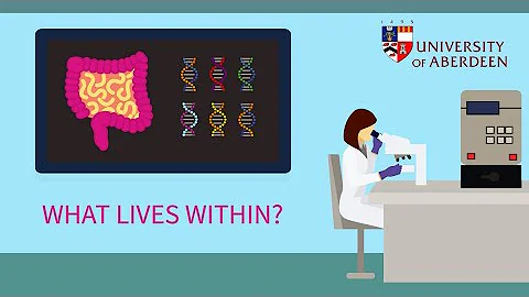 What lives within? The fungi in our gut