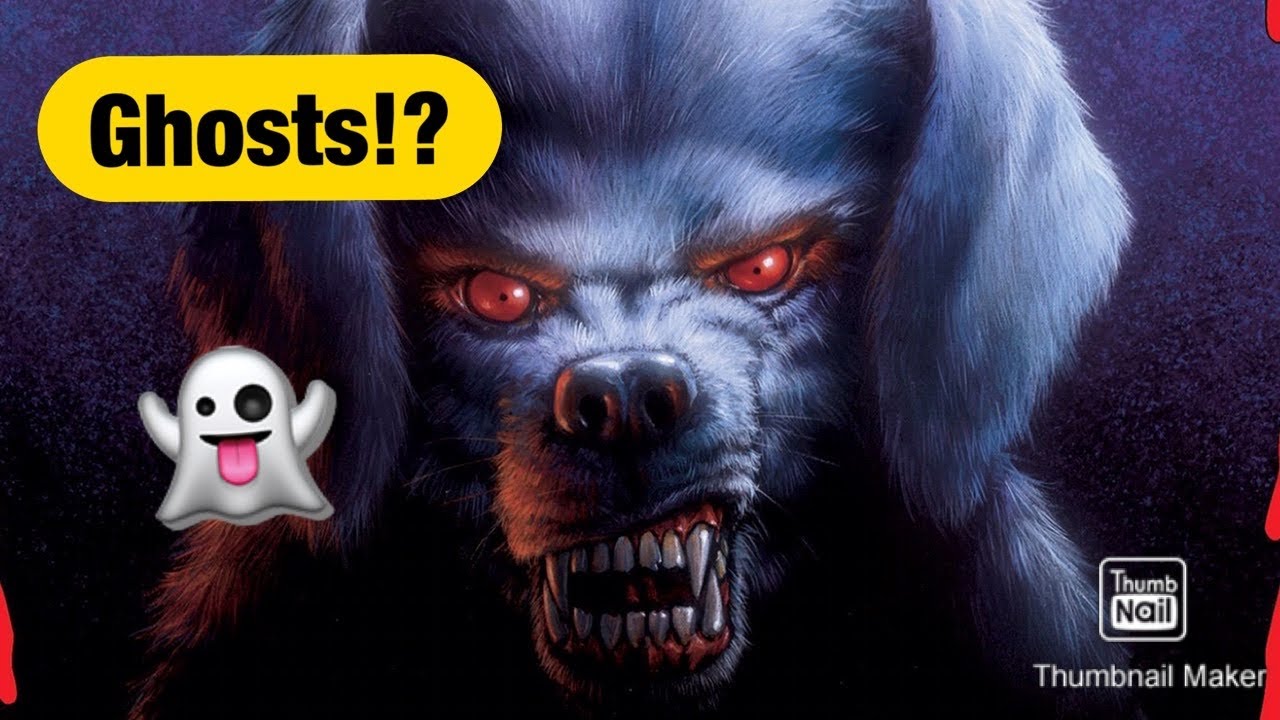How To React If Your Dog Sees A Spirit 👻 YouTube