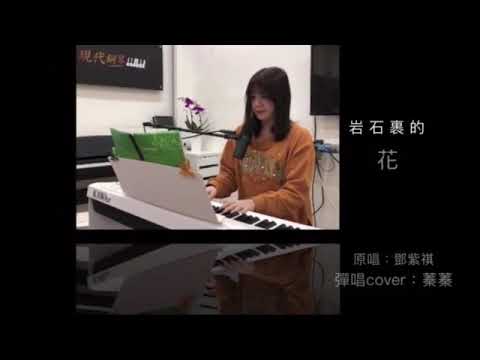 岩石裡的花/蓁蓁/鋼琴彈唱
