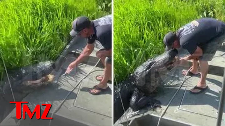 Lana Del Rey's Rumored Alligator Tour Guide BF Kisses Massive Gator in Wild Video | TMZ