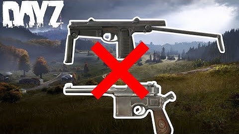 5 Guns that were Removed from DayZ❌
