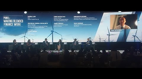 2022 Transition Finance towards Net Zero Conference – Panel Discussion: Making Blended Finance Work