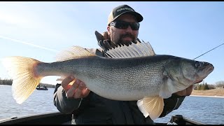 Smashing Early Spring Walleyes On The River!