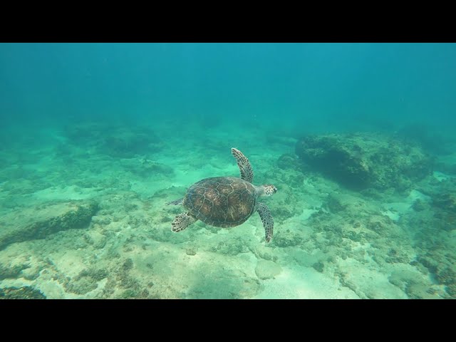 הפעם זה נגמר בטוב