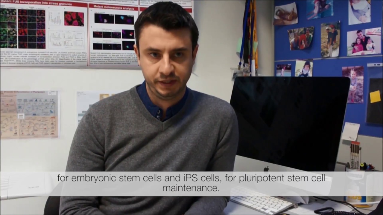 ALS Disease Modelling with Patient-Derived iPSC - an Interview with Dr Rosa, University of Rome