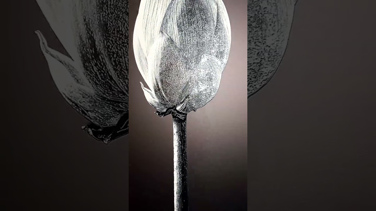 Noir Bloom Radiance — Haptic 3D Embossed + High-Gloss Lacquer Print