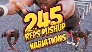 245 Pushup Variation Reps