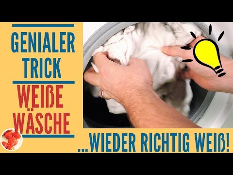 Video: Kann Beige mit Weiß gewaschen werden?