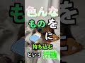 【恐怖】もしも犬と毎日一緒に寝続けるとどうなるのか? #shorts