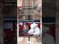 #funny #youtubeshorts #youtube In 2012, a Texas father caught his ranchhand