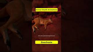 Zoochosis Animal Death Animations