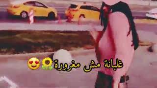 حالات وتس اب غرور وتكبر بنات 😌💘 | عصفورة ملكة جمال امورة 🦋💛 LWLETAA LMGNONA✨❤️ screenshot 5