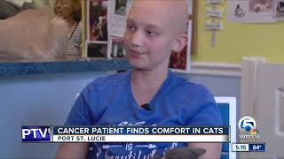 Cancer patient finds comfort in cats