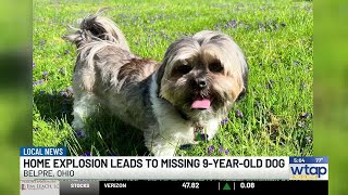 Family pleads for help finding dog missing after townhouse explosion
