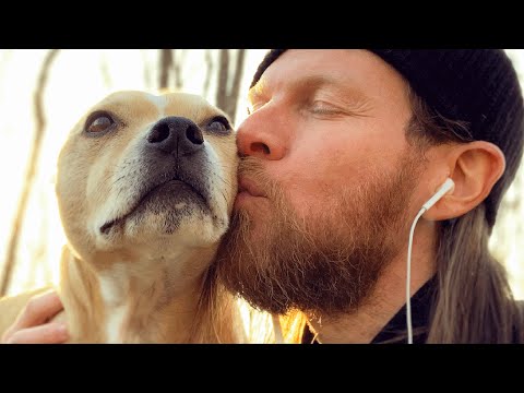Videó: Az ember megígéri az ígéretét a kutya újbóli elfogadásával