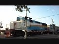 Tri Rail Train Hollywood Florida Quad Gate Railroad Crossing