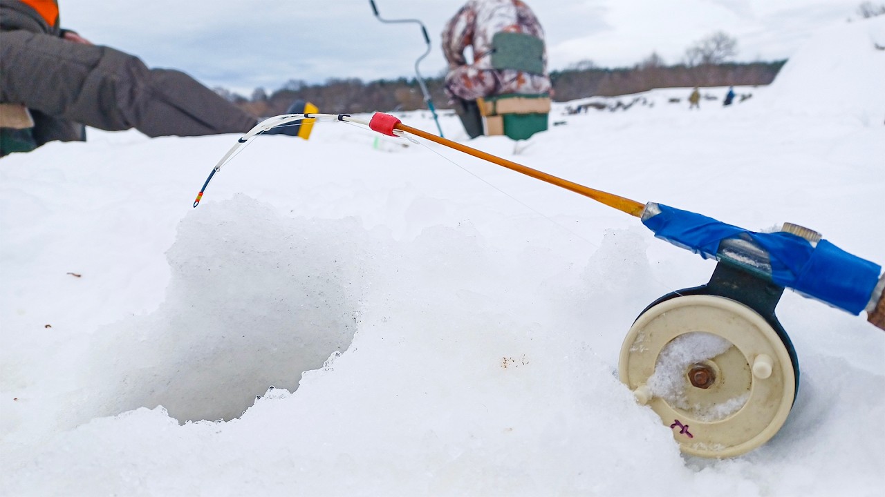 ЗАКИНУЛ ПРОСТУЮ УДОЧКУ, КИВОК ЗАГНУЛО! ДУРЬЯ УДОЧКА В ДЕЛЕ! Рыбалка зимой в 2026