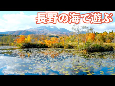 妙高周辺の美味しい物食べまくる!!釣りして干物にしたら美味しすぎた♪｜日本海｜釣り｜IEE P1800｜ドライブ｜田舎暮らし｜新潟県｜4K