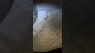 Litter robot issue