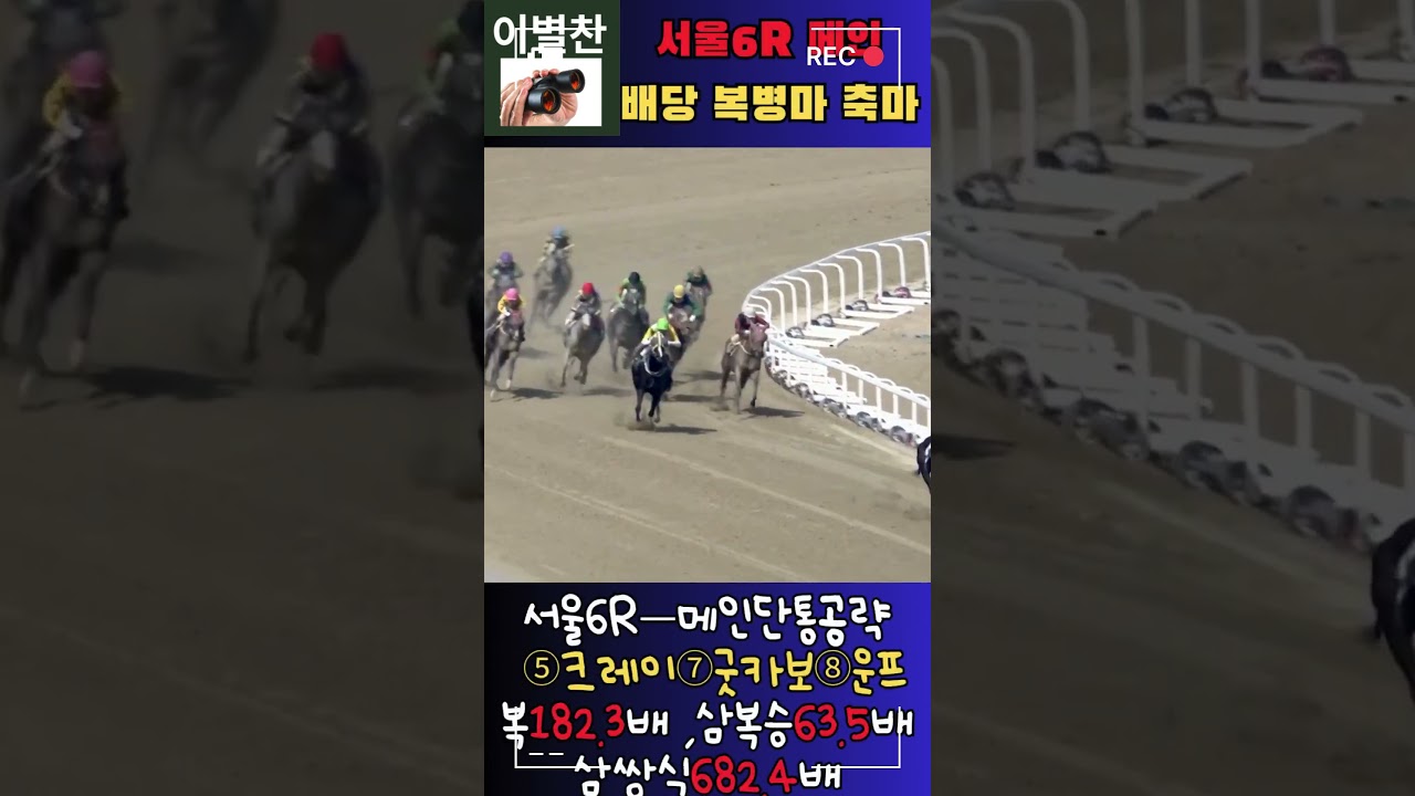 경마] 메인!!복식182배🔥 새벽조교 복병마 축마!! 삼쌍식 682배 🎯