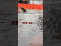 今SNSで話題の【Flood Guard】「備えあれば憂いなし!」突然の大雨や恐れに対する準備はできていますか?何か質問があれば、コメントやDMでお気軽にお問い合わせください。#止水板 #フジ鋼