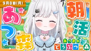キムチキャットの配信のサムネイル画像