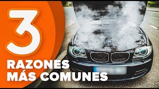 Reparación FIAT ARGENTA de bricolaje - consejos y trucos