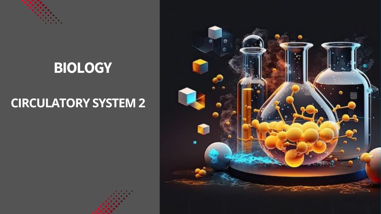 Circulatory System (Part 2): Structure and Functions of Blood Vessels | Biology – Wanies Academy