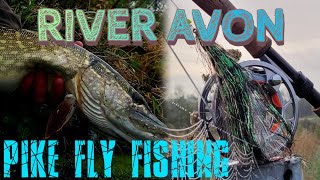 River Avon pikes / river pike fly fishing @MaxcatchFishing