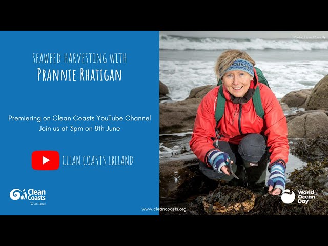 sddefault.jpg?v=60bb3146