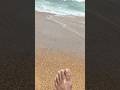 Fun at Candolim Beach and Per Friendly Cafe #goa #candolimbeachgoa #seabeach #petfriendlytravel