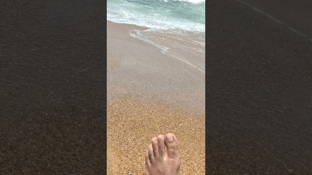 Fun at Candolim Beach and Per Friendly Cafe #goa #candolimbeachgoa #seabeach #petfriendlytravel