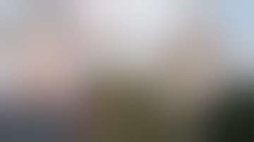 The Painful Execution Of Johanna Bormann - The Woman With The Dog Of Auschwitz