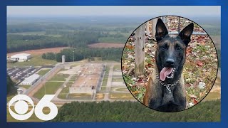 K-9 killed protecting officer, inmate attacked by inmates in Virginia prison