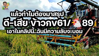 แล้วทำไมต้องมาสรุปดีเสียข้าวกข 61/🐔89ในคลิปนี้มีความลับจากบ...