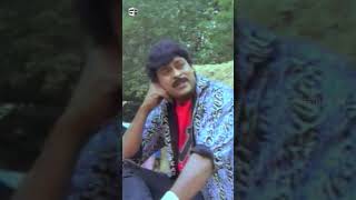 Yamudiki Mogudu Movie Scenes | #chiranjeevi #radhika #vijayashanthi #raogopalrao #kotasrinivasarao