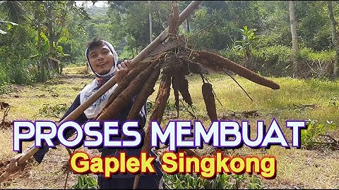 Proses membuat gaplek SINGKONG