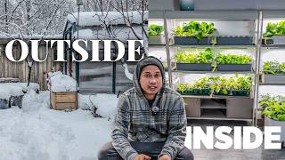 Winter Tried To Stop Me. So I Brought The Garden Inside!