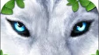Ultimate wolf Simulator screenshot 4