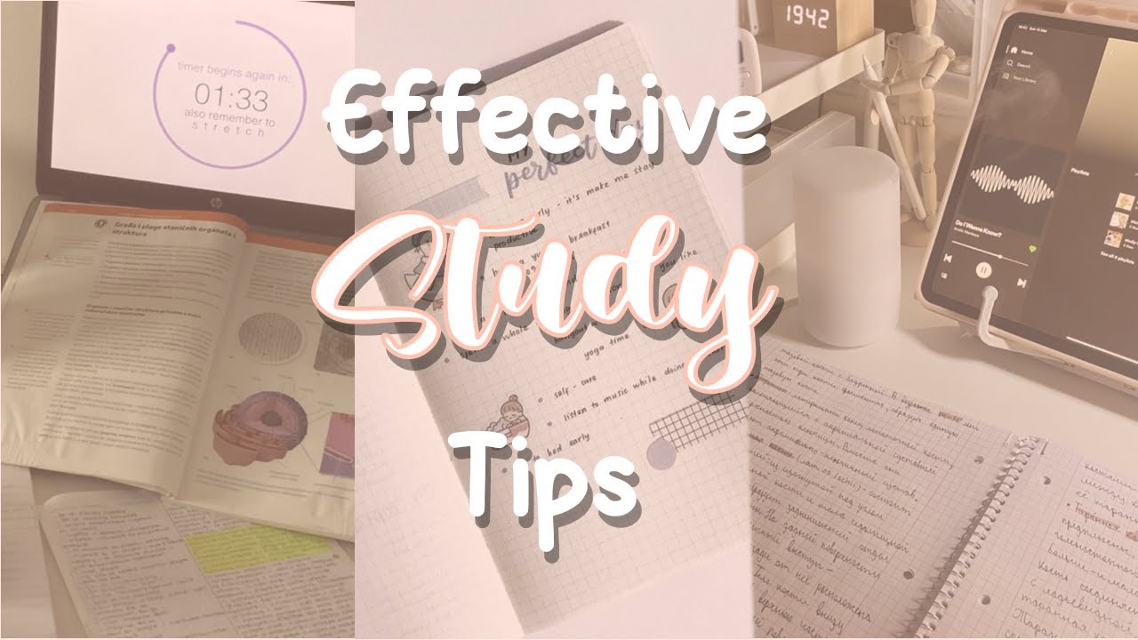 8 Effective Study Tips 📚 ️ - YouTube