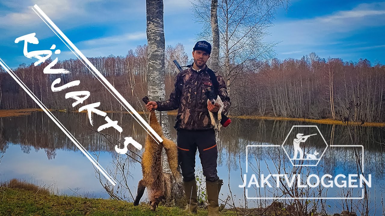 JaktVloggen: Rävjakt #5