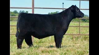 2021 Discover Your Dream Sale - Lot 5