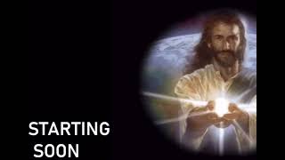 Bill Jensen Reacts To Ytp Spongebob Drying To Lie And Up Yours