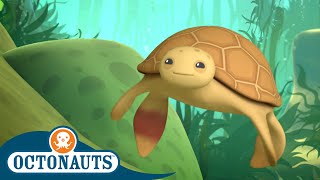 Octonauts - The Loggerhead Sea Turtle | Cartoons for Kids | Underwater Sea Education