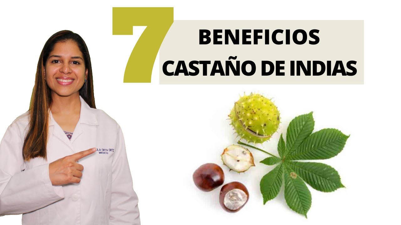 7 BENEFICIOS DEL CASTAÑO DE INDIAS que antes no sabías
